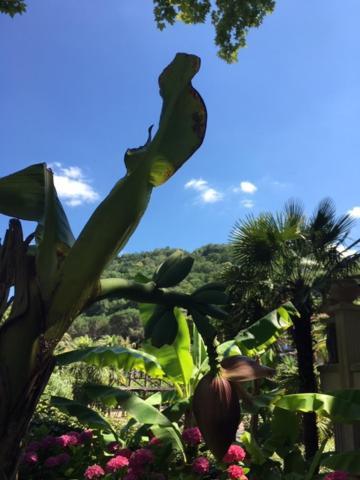 比亚里茨Waikiki公寓 外观 照片